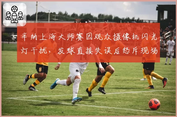 辛纳上海大师赛因观众摄像机闪光灯干扰，发球直接失误后怒斥现场安保管理不力