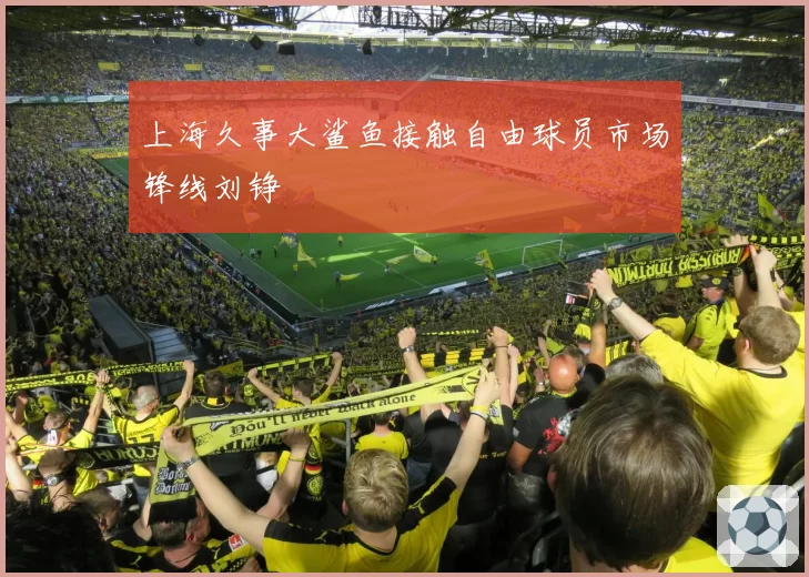 上海久事大鲨鱼接触自由球员市场锋线刘铮